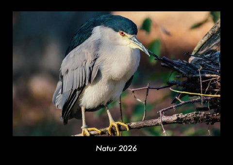 Natur 2026 Fotokalender DIN A3