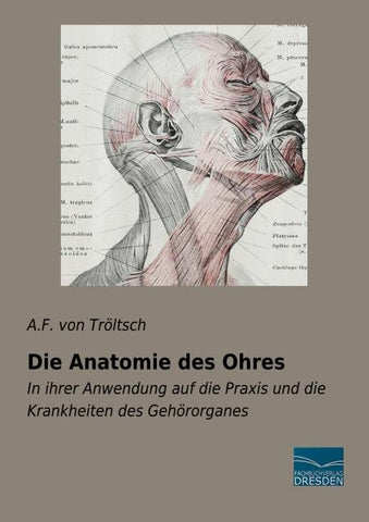 Die Anatomie des Ohres