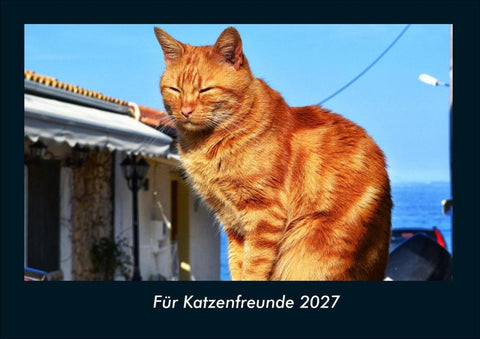 Für Katzenfreunde 2027 Fotokalender DIN A4