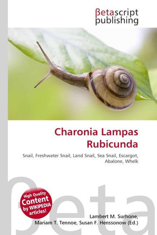 Charonia Lampas Rubicunda