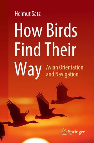 How Birds Find Their Way