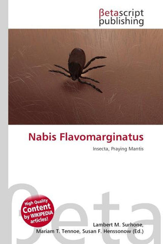 Nabis Flavomarginatus