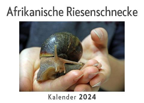Afrikanische Riesenschnecke (Wandkalender 2024, Kalender DIN A4 quer, Monatskalender im Querformat mit Kalendarium, Das perfekte Geschenk)