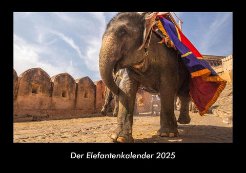 Der Elefantenkalender 2025 Fotokalender DIN A3
