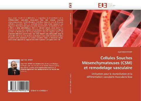 Cellules Souches Mésenchymateuses (CSM) et remodelage vasculaire