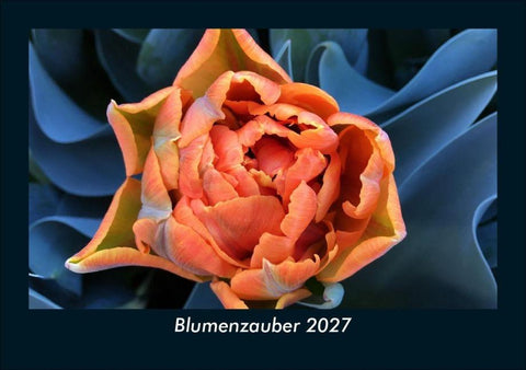 Blumenzauber 2027 Fotokalender DIN A5