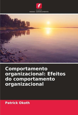 Comportamento organizacional: Efeitos do comportamento organizacional