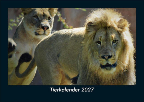 Tierkalender 2027 Fotokalender DIN A5