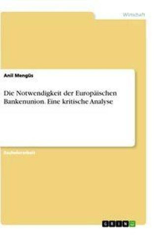 Die Notwendigkeit der Europäischen Bankenunion. Eine kritische Analyse