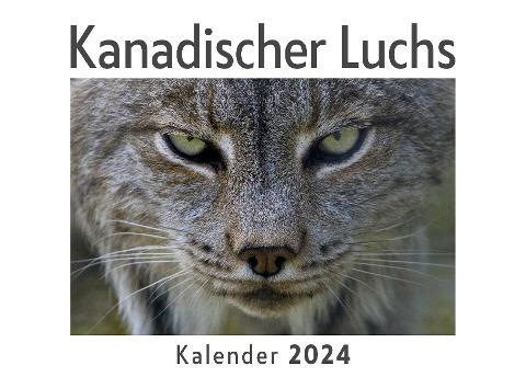 Kanadischer Luchs (Wandkalender 2024, Kalender DIN A4 quer, Monatskalender im Querformat mit Kalendarium, Das perfekte Geschenk)