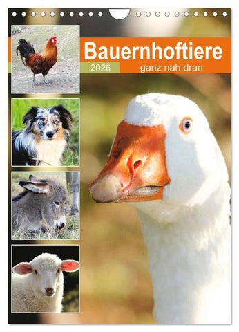 Bauernhoftiere, ganz nah dran (Wandkalender 2026 DIN A4 hoch), CALVENDO Monatskalender