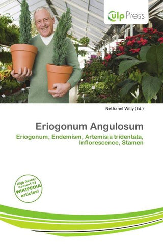 Eriogonum Angulosum