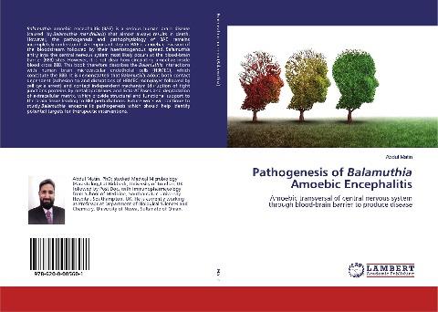 Pathogenesis of Balamuthia Amoebic Encephalitis