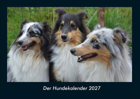 Der Hundekalender 2027 Fotokalender DIN A4