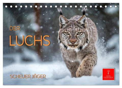 Der Luchs - scheuer Jäger (Tischkalender 2026 DIN A5 quer), CALVENDO Monatskalender