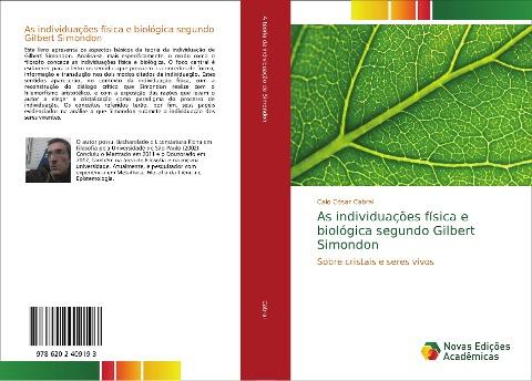As individuações física e biológica segundo Gilbert Simondon