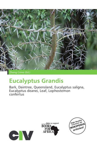 Eucalyptus Grandis