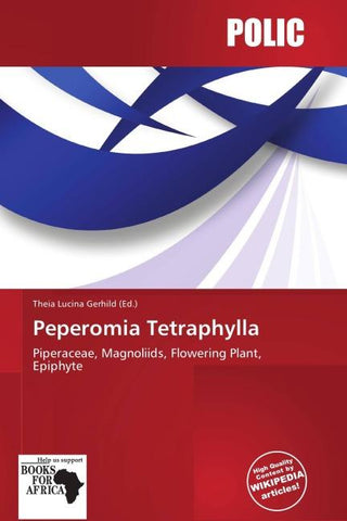Peperomia Tetraphylla