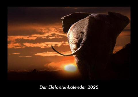 Der Elefantenkalender 2025 Fotokalender DIN A3