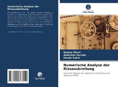 Numerische Analyse der Rissausbreitung