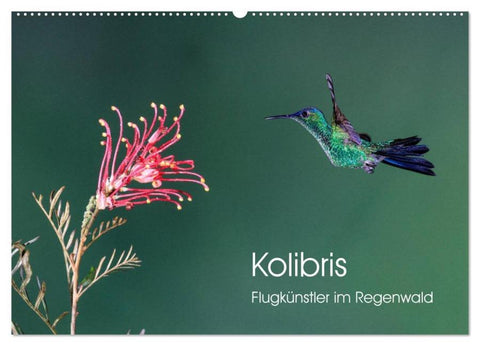 Kolibris - Flugkünstler im Regenwald (Wandkalender 2026 DIN A2 quer), CALVENDO Monatskalender