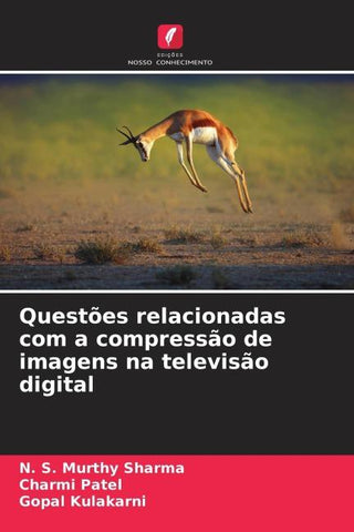 Questões relacionadas com a compressão de imagens na televisão digital