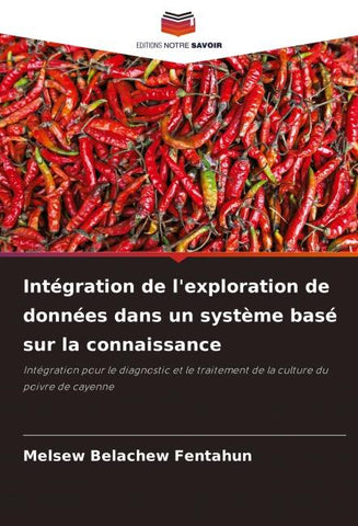 Intégration de l'exploration de données dans un système basé sur la connaissance