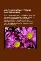 Verein im Fußballverband Sachsen-Anhalt