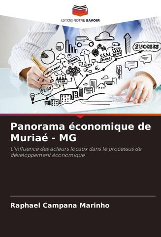 Panorama économique de Muriaé - MG