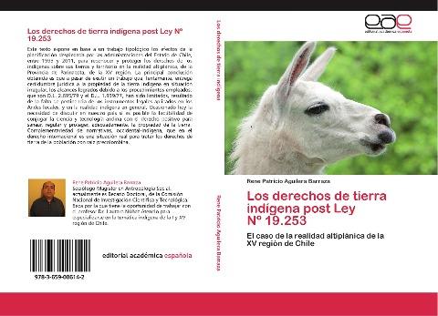 Los derechos de tierra indígena post Ley   Nº 19.253