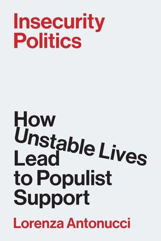 Insecurity Politics