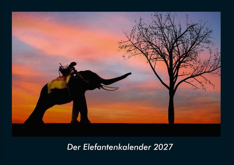 Der Elefantenkalender 2027 Fotokalender DIN A4