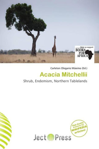 Acacia Mitchellii