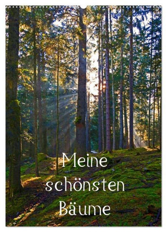 Meine schönsten Bäume (Wandkalender 2026 DIN A2 hoch), CALVENDO Monatskalender