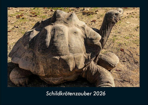 Schildkrötenzauber 2026 Fotokalender DIN A4