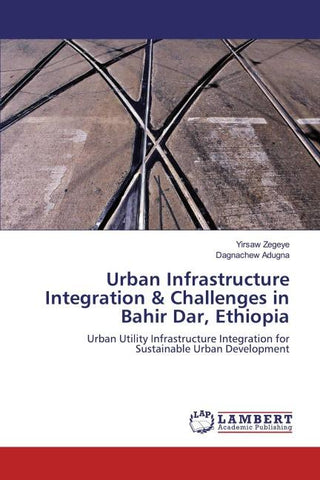 Urban Infrastructure Integration & Challenges in Bahir Dar, Ethiopia