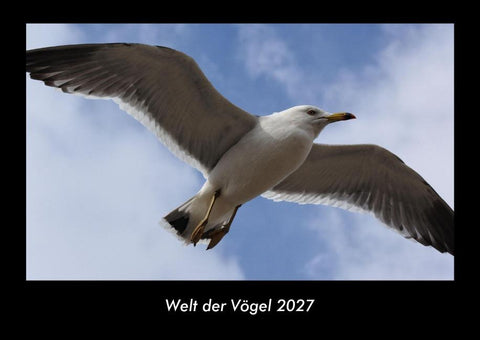 Welt der Vögel 2027 Fotokalender DIN A3