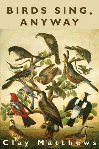 Birds Sing, Anyway