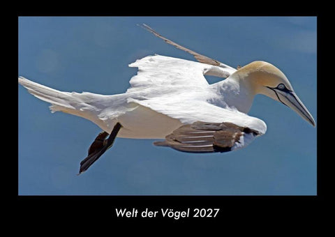 Welt der Vögel 2027 Fotokalender DIN A3