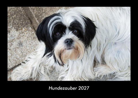 Hundezauber 2027 Fotokalender DIN A3