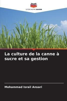 La culture de la canne à sucre et sa gestion