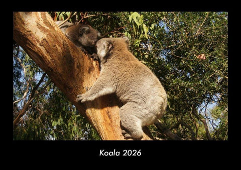 Koala 2026 Fotokalender DIN A3