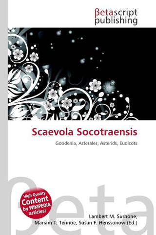 Scaevola Socotraensis