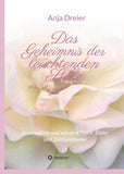 Das Geheimnis der leuchtenden Stille