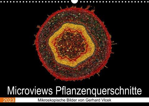 Microviews - Pflanzenquerschnitte (Wandkalender 2023 DIN A3 quer)