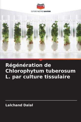 Régénération de Chlorophytum tuberosum L. par culture tissulaire