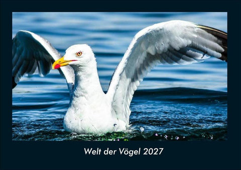 Welt der Vögel 2027 Fotokalender DIN A4
