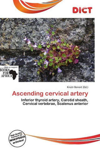 Ascending cervical artery