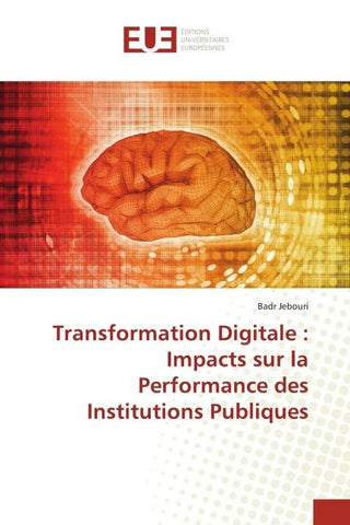 Transformation Digitale : Impacts sur la Performance des Institutions Publiques