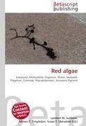Red algae